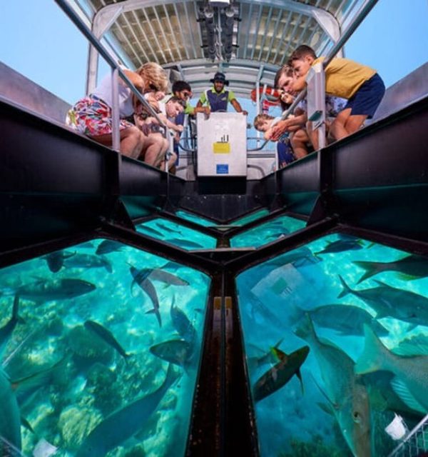 Glass Bottom Boat